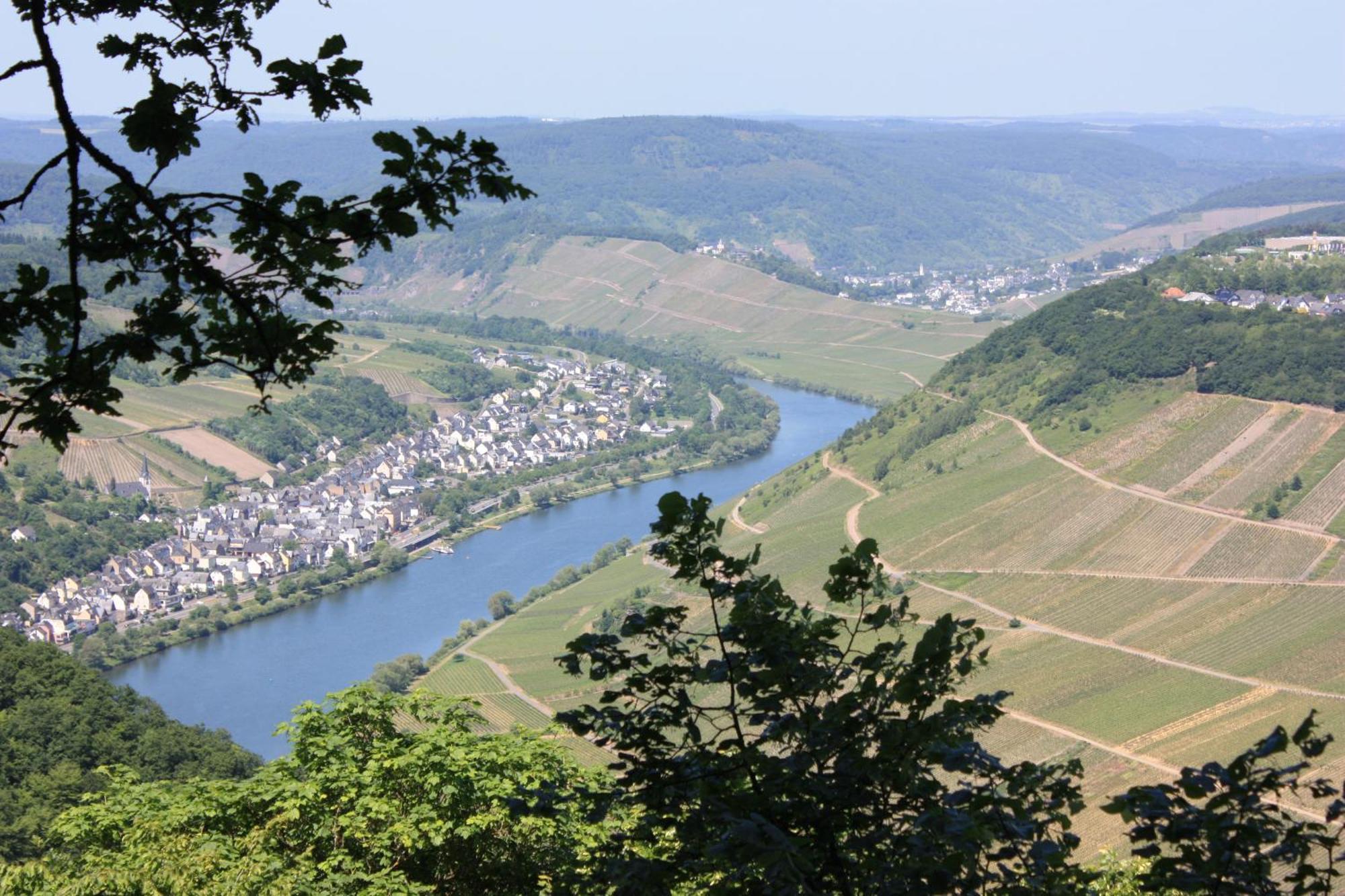 Gaestehaus Herda Briedel Bagian luar foto